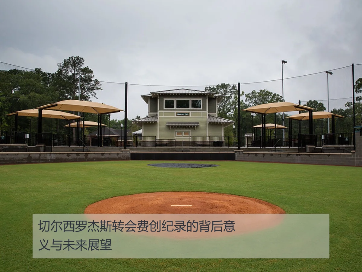 切尔西罗杰斯转会费创纪录的背后意义与未来展望